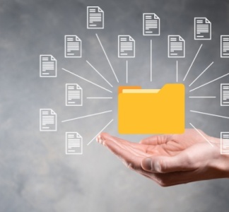 Illustration article : Rapports sur la durabilité et devoir de vigilance (CSRD et CS3D) : un allègement à venir ?