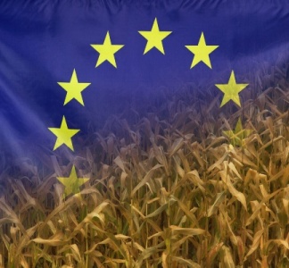 Illustration article : Aides de la PAC : des sanctions précisées