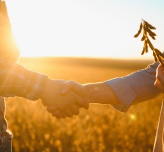 Illustration article : Secteur agricole : aides actualisées en mars 2026