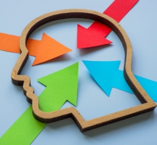 Illustration article : Loi sur les troubles du neuro-développement (TND) : diagnostic, accompagnement et inclusion au programme