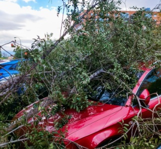 Illustration article : Tempête Ciaran : l’État vole au secours des entrepreneurs