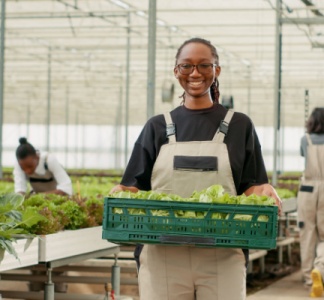 Illustration article : Dons alimentaires aux cantines scolaires = réduction d’impôt ?