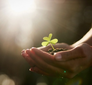 Illustration article : Agriculture : précisions sur l’éligibilité aux ICHN