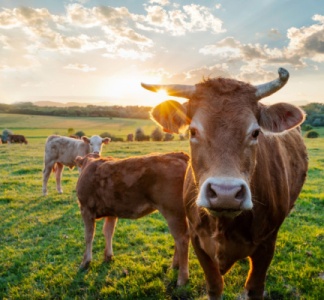 Illustration article : MHE : le dispositif à nouveau adapté