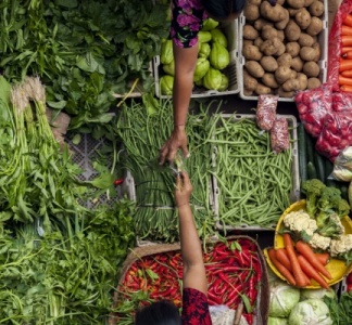 Illustration article : Loi sur la stabilité économique et la compétitivité du secteur agroalimentaire : quelles nouveautés ? 