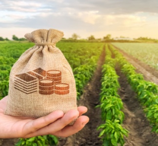 Illustration article : Indivision : quid des sommes dues par un des indivisaires en vertu d’un contrat ?