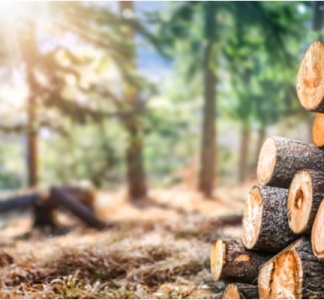 Illustration article : Donation de biens ruraux : quelle imposition ?