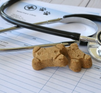 Illustration article : Frais de vétérinaires et d’alimentation animale : une révision de la TVA en vue pour les SPA ?