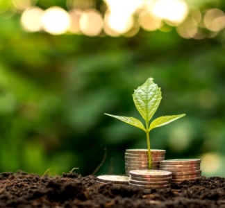 Illustration article : Prise en charge des cotisations sociales par la MSA : assouplissement de la procédure