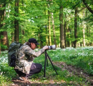 Illustration article : Photographe professionnel : attention au taux de TVA applicable !