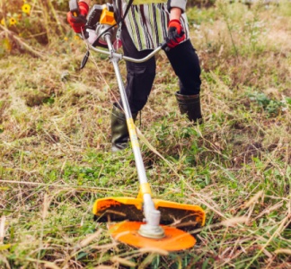 Illustration article : Débroussaillage chez le voisin : une autorisation valable 3 ans !