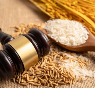 Illustration article : Titre emploi simplifié agricole : du nouveau !