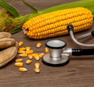 Illustration article : Travailleurs agricoles : bientôt du nouveau en matière de suivi de l’état de santé !