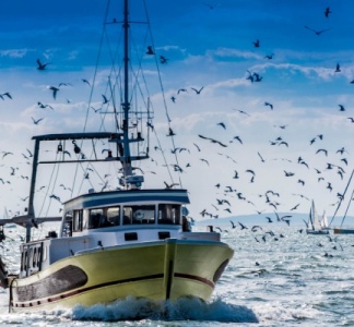 Illustration article : Création d’une aide pour la trésorerie des entreprises de pêche