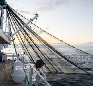 Illustration article : Pêcheurs : le point sur les nouveautés de l’année 2024