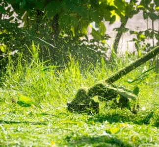 Illustration article : Débroussaillement 2024 : de nouvelles précisions…