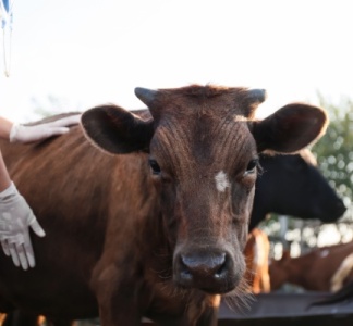 Illustration article : MHE : prolongation pour la distribution des vaccins