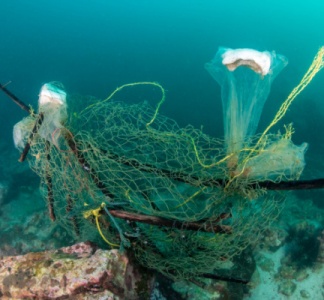 Illustration article : Pêche durable : création d’une plateforme web pour mieux informer les pêcheurs