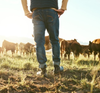 Illustration article : Agriculture : un début d’année 2024 dense