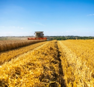 Illustration article : Secteur agricole : ce qui va changer en 2025