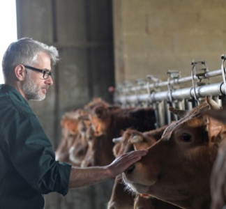 Illustration article : MHE : un délai supplémentaire pour demander ses aides