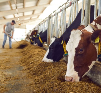 Illustration article : Aides de la PAC : contrôles de l’exploitation et représentation du gérant