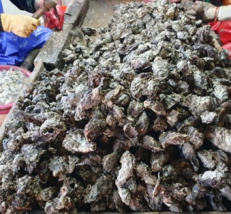 Illustration article : SAFER : quand le droit de préemption est mal motivé…