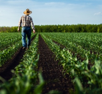 Illustration article : Agriculture et aides diverses : fixation des montants pour 2024