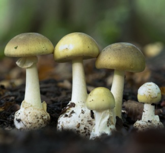 Illustration article : Reconstitution de chiffre d’affaires : une méthode jugée « sommaire » ?