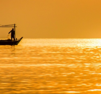 Illustration article : Pollution marine par la chlordécone : une aide financière prolongée