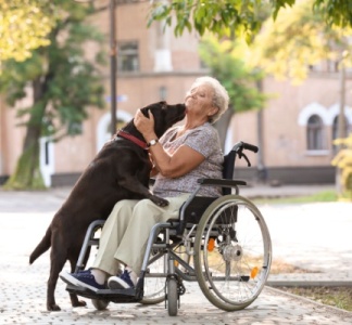 Illustration article : EHPAD et animaux de compagnie des résidents : les conditions sont connues !