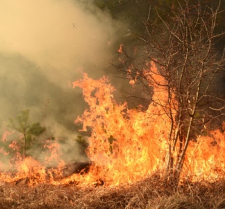Illustration article : Prévention et lutte contre les incendies : renforcement de la réglementation