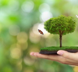 Illustration article : RSE : des nouveautés à venir !