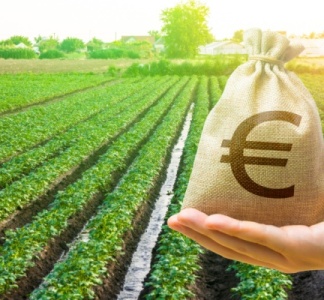 Illustration article : Taxe foncière sur les terres agricoles : une exonération déjà en hausse ?