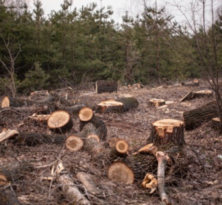 Illustration article : Association : illustration pratique de la notion d’intérêt à agir