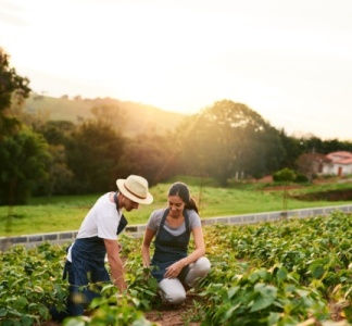 Illustration article : Ajustement de droits à paiement de base : quelques précisions pour les exploitants agricoles…