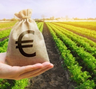 Illustration article : Agriculture : précisions sur les aides écorégime