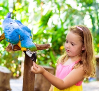 Illustration article : Parcs zoologiques : vers une fin du taux réduit de TVA ?