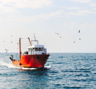 Illustration article : Exonération partielle d’impôt sur le revenu des marins pêcheurs : pour quel montant ?