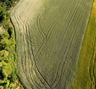 Illustration article : BCAE : un assouplissement sur la protection des cours d’eau