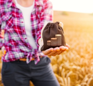 Illustration article : Agriculture : précisions sur de nombreuses aides