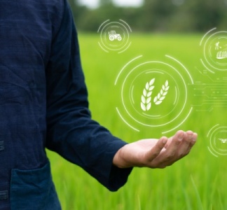 Illustration article : Agriculture : un droit à l’essai effectif !