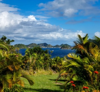 Illustration article : Outremer : objectif plein emploi