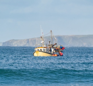 Illustration article : Pêche dans les eaux du Royaume-Uni : du nouveau concernant les licences d’accès !