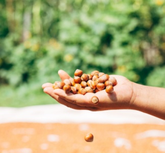 Illustration article : Aide financière pour les agriculteurs biologiques : un délai supplémentaire !