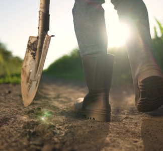 Illustration article : Crédit d’impôt « Haute Valeur Environnementale » : plutôt deux fois qu’une ?