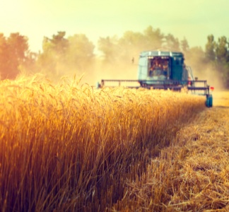 Illustration article : Exonération de charges dans le secteur agricole : 3 ans de plus !