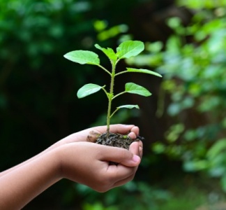 Illustration article : CSRD : comprendre pour mieux se préparer