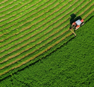 Illustration article : Souveraineté alimentaire : du nouveau ?