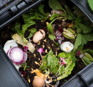 Illustration article : Tri des déchets alimentaires : la nouvelle obligation des particuliers